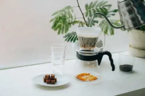 Hario Pegasus 02 Dripper (Seffaf Plastik) — görsel 4