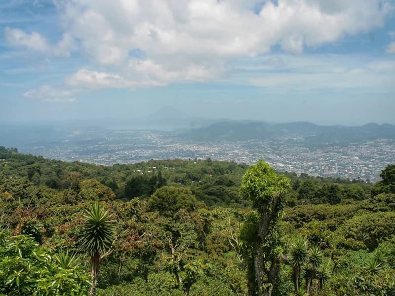 El Salvador kahve bölgesi manzarası