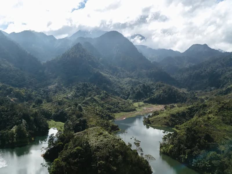 Honduras kahve bölgesi manzarası