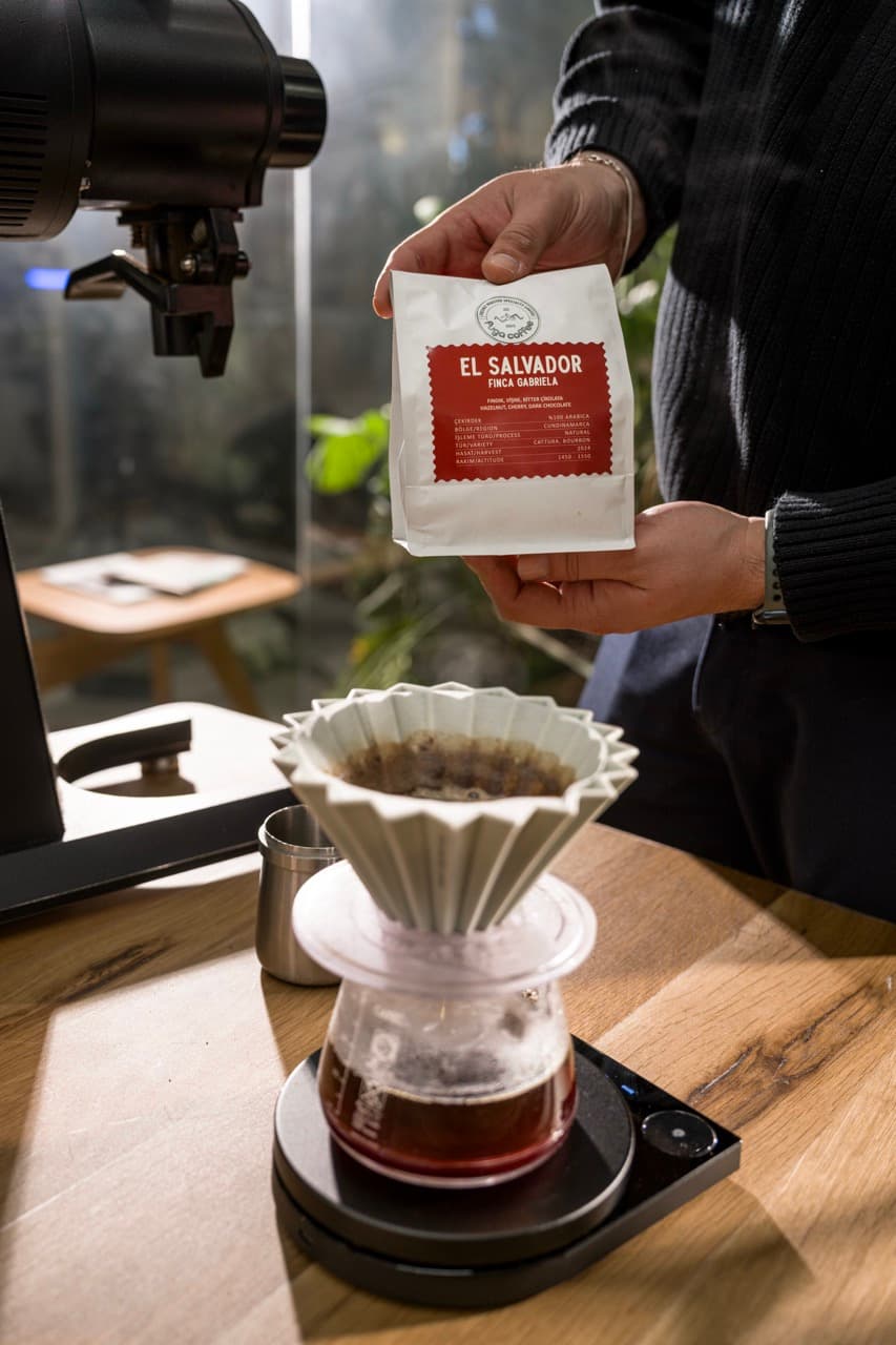 Which Coffee Beans Are Right for You?